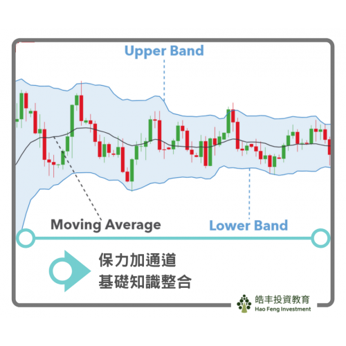 【投資入門 — 保力加通道】
